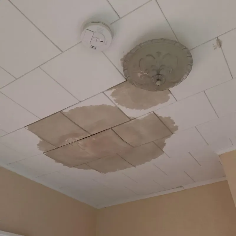 Ceiling Water Damage Repair in Pryor, OK