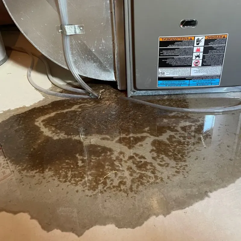 Pipe Burst and Leak Restoration in Pryor, OK